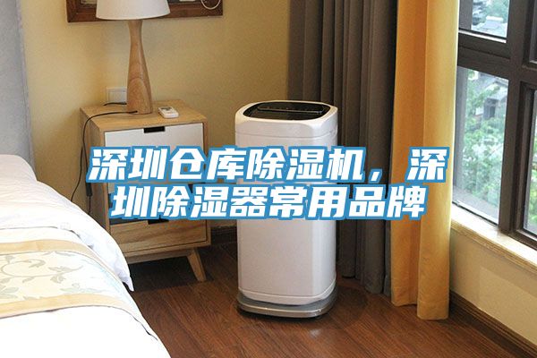 深圳倉庫除濕機(jī)，深圳除濕器常用品牌