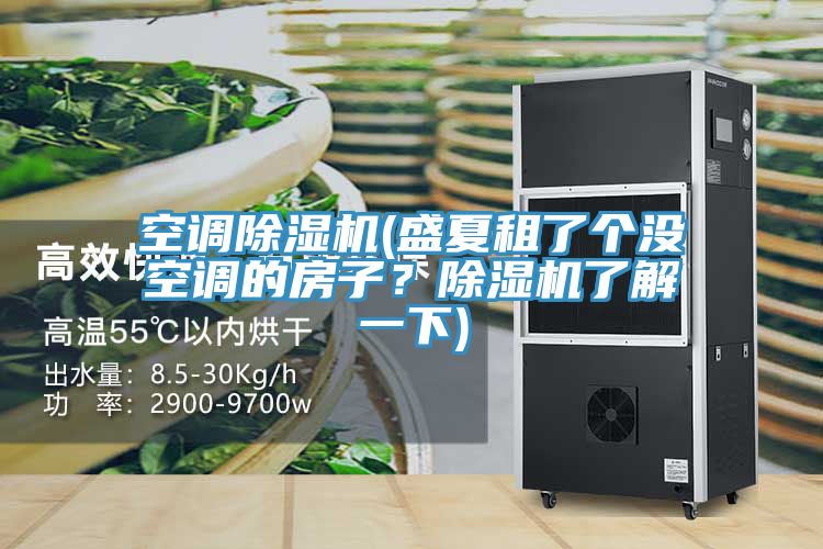 空調(diào)除濕機(jī)(盛夏租了個(gè)沒空調(diào)的房子？除濕機(jī)了解一下)