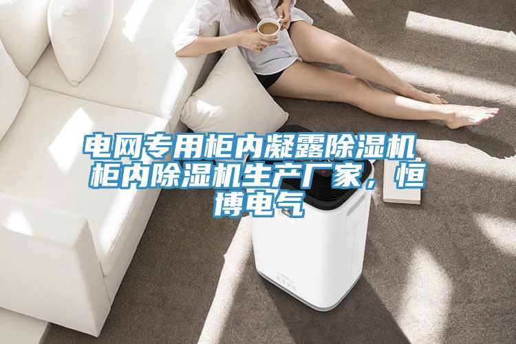 電網(wǎng)專用柜內(nèi)凝露除濕機 柜內(nèi)除濕機生產(chǎn)廠家，恒博電氣