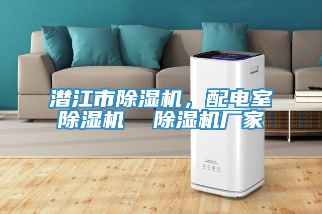 潛江市除濕機(jī)，配電室除濕機(jī)  除濕機(jī)廠家