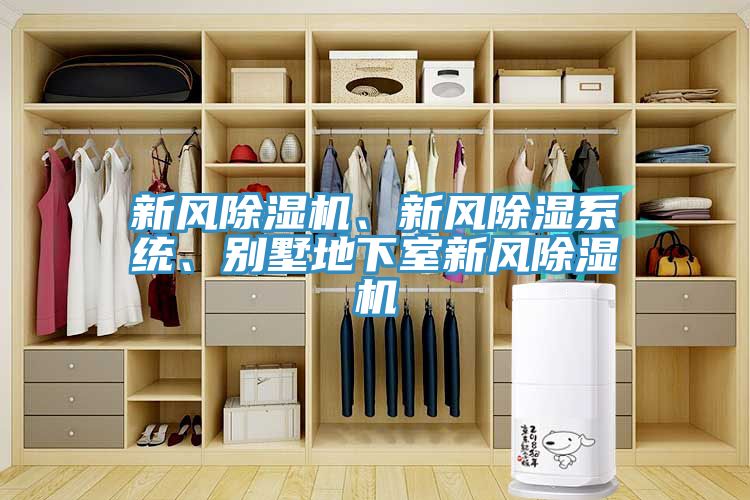 新風(fēng)除濕機(jī)、新風(fēng)除濕系統(tǒng)、別墅地下室新風(fēng)除濕機(jī)