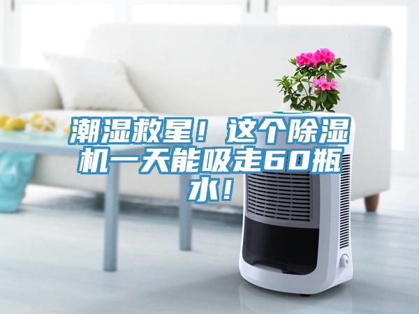 潮濕救星！這個(gè)除濕機(jī)一天能吸走60瓶水！