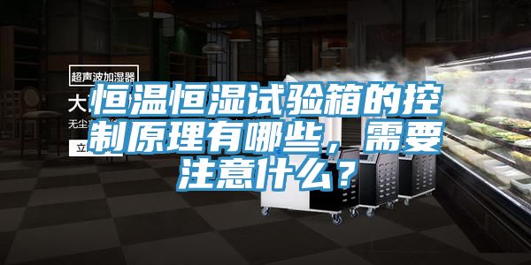 恒溫恒濕試驗(yàn)箱的控制原理有哪些，需要注意什么？
