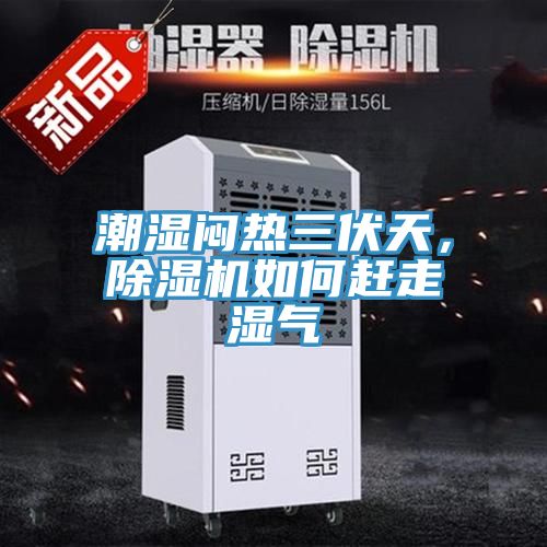 潮濕悶熱三伏天，除濕機如何趕走濕氣
