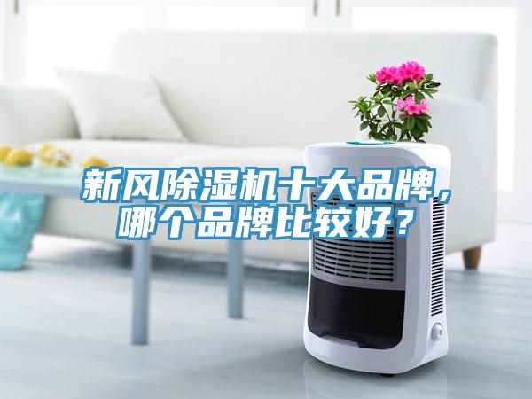 新風(fēng)除濕機(jī)十大品牌，哪個(gè)品牌比較好？