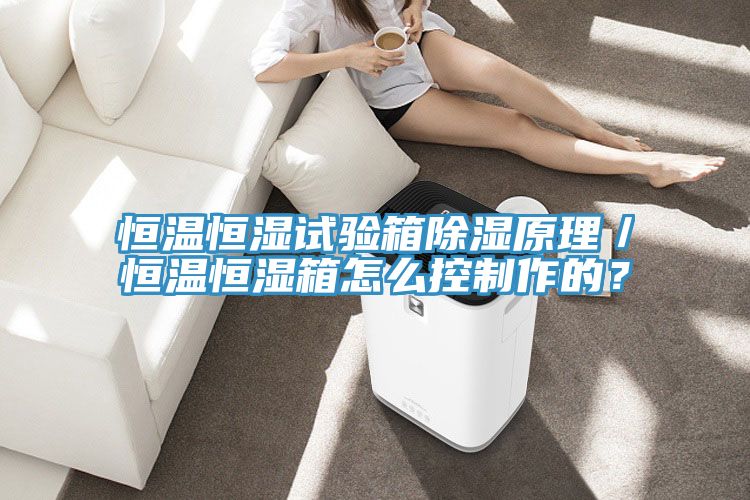 恒溫恒濕試驗(yàn)箱除濕原理／恒溫恒濕箱怎么控制作的？