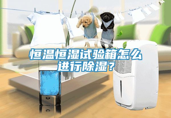 恒溫恒濕試驗箱怎么進行除濕？