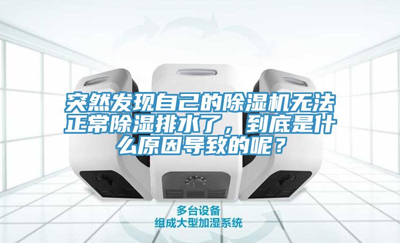 突然發(fā)現(xiàn)自己的除濕機(jī)無(wú)法正常除濕排水了，到底是什么原因?qū)е碌哪兀?></div>
								<div   id=