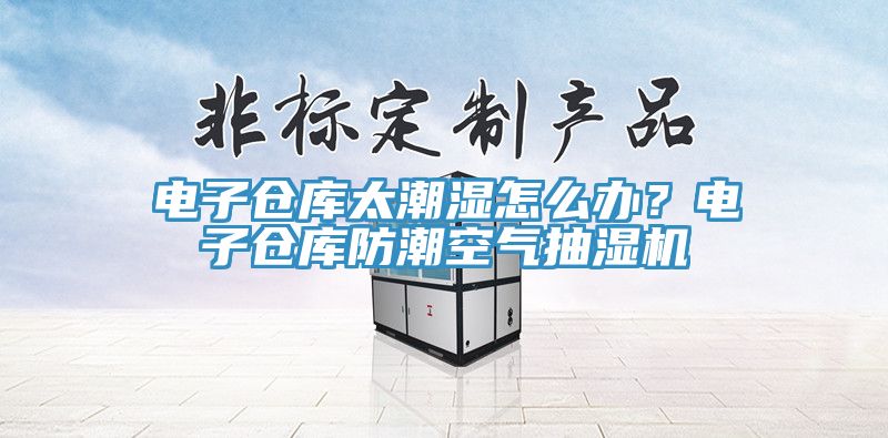 電子倉(cāng)庫(kù)太潮濕怎么辦？電子倉(cāng)庫(kù)防潮空氣抽濕機(jī)