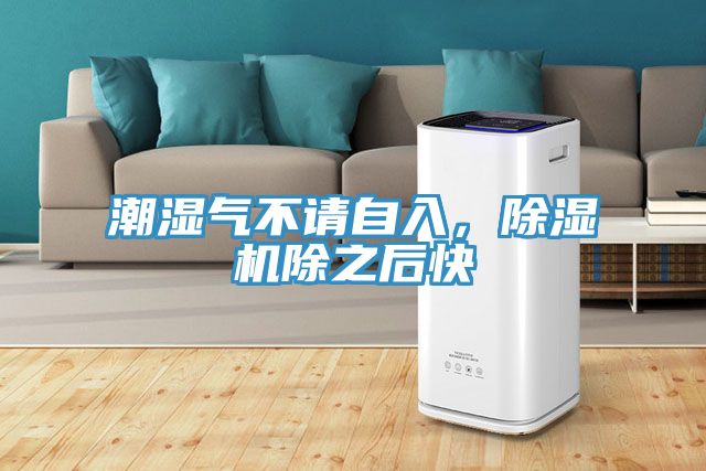 潮濕氣不請自入，除濕機除之后快