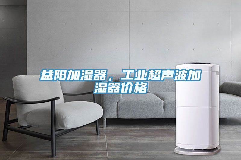 益陽加濕器，工業(yè)超聲波加濕器價(jià)格