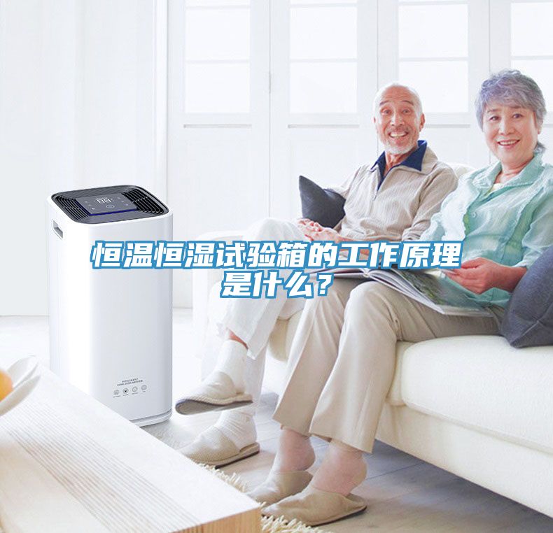 恒溫恒濕試驗(yàn)箱的工作原理是什么？