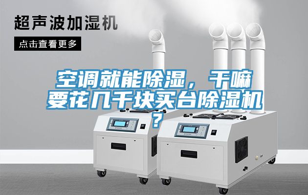 空調(diào)就能除濕，干嘛要花幾千塊買臺除濕機？