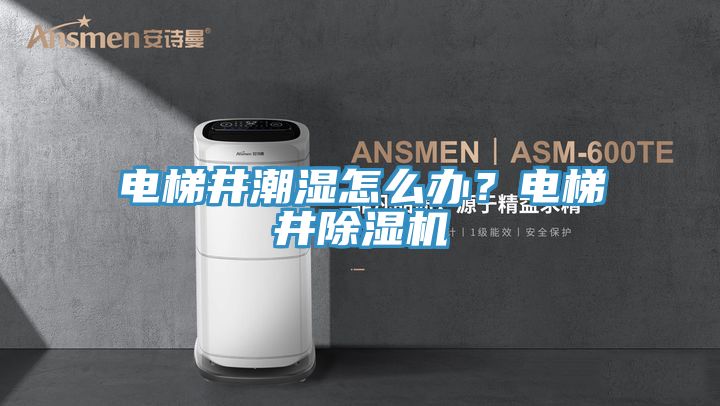 電梯井潮濕怎么辦？電梯井除濕機(jī)