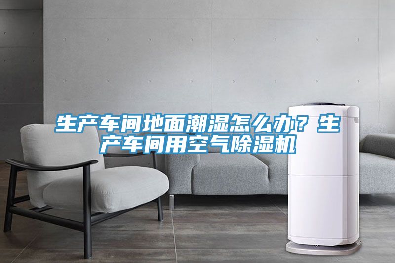 生產(chǎn)車間地面潮濕怎么辦？生產(chǎn)車間用空氣除濕機(jī)