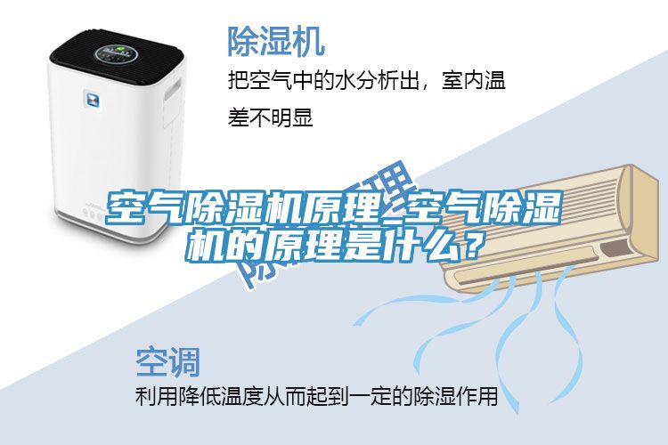 空氣除濕機原理_空氣除濕機的原理是什么？