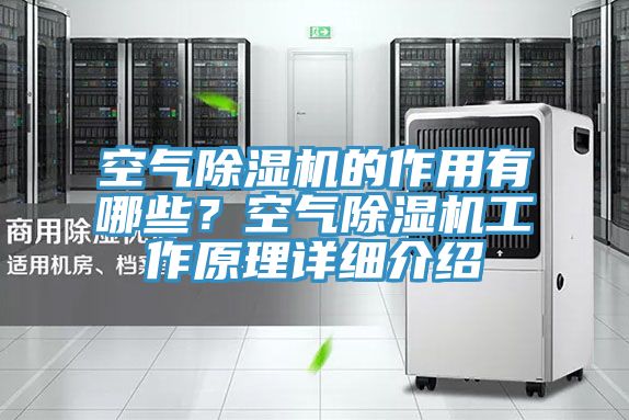 空氣除濕機(jī)的作用有哪些？空氣除濕機(jī)工作原理詳細(xì)介紹