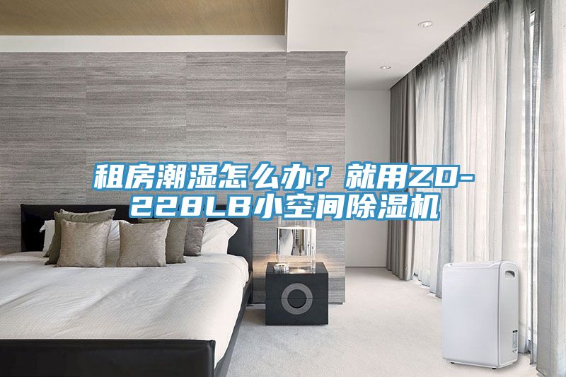 租房潮濕怎么辦？就用ZD-228LB小空間除濕機(jī)