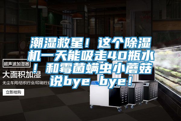 潮濕救星！這個(gè)除濕機(jī)一天能吸走40瓶水！和霉菌螨蟲小蘑菇說bye bye！