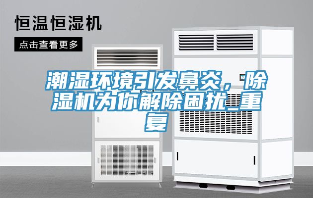 潮濕環(huán)境引發(fā)鼻炎，除濕機為你解除困擾_重復