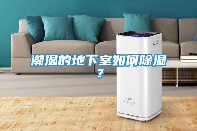潮濕的地下室如何除濕？