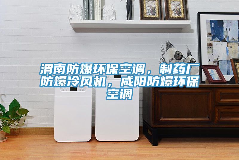 渭南防爆環(huán)?？照{(diào)，制藥廠防爆冷風(fēng)機(jī)，咸陽防爆環(huán)?？照{(diào)