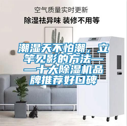 潮濕天不怕潮，立竿見影的方法——十大除濕機(jī)品牌推薦好口碑