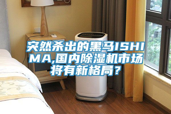 突然殺出的黑馬ISHIMA,國(guó)內(nèi)除濕機(jī)市場(chǎng)將有新格局？