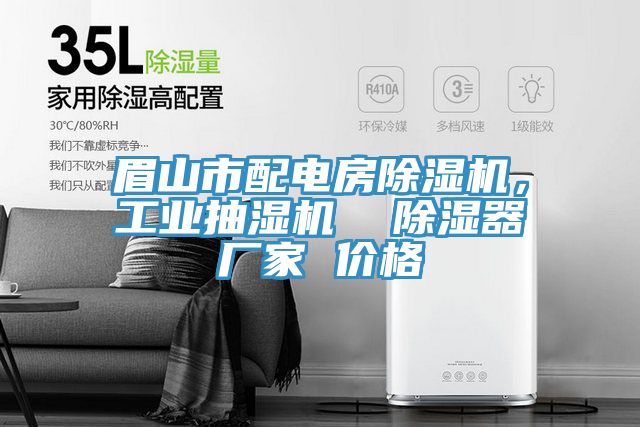 眉山市配電房除濕機(jī)，工業(yè)抽濕機(jī)  除濕器廠家 價格