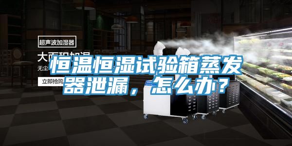 恒溫恒濕試驗箱蒸發(fā)器泄漏，怎么辦？