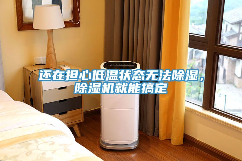 還在擔心低溫狀態(tài)無法除濕，除濕機就能搞定