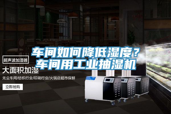 車間如何降低濕度？車間用工業(yè)抽濕機(jī)
