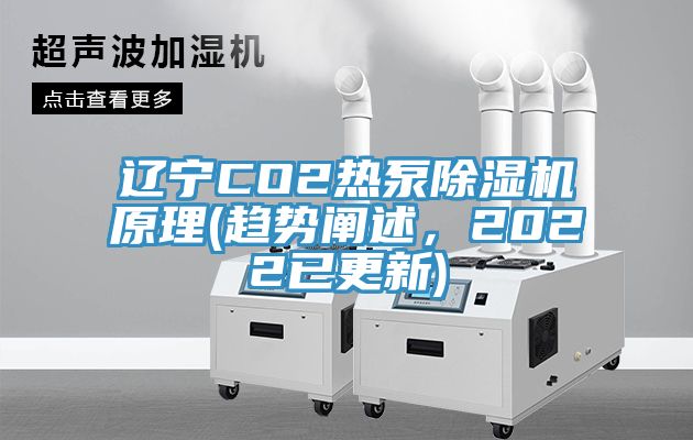 遼寧CO2熱泵除濕機原理(趨勢闡述，2022已更新)