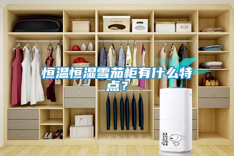 恒溫恒濕雪茄柜有什么特點(diǎn)？