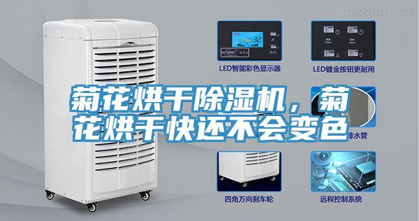 菊花烘干除濕機，菊花烘干快還不會變色