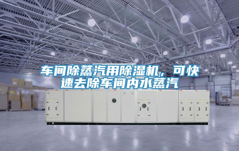 車間除蒸汽用除濕機(jī)，可快速去除車間內(nèi)水蒸汽