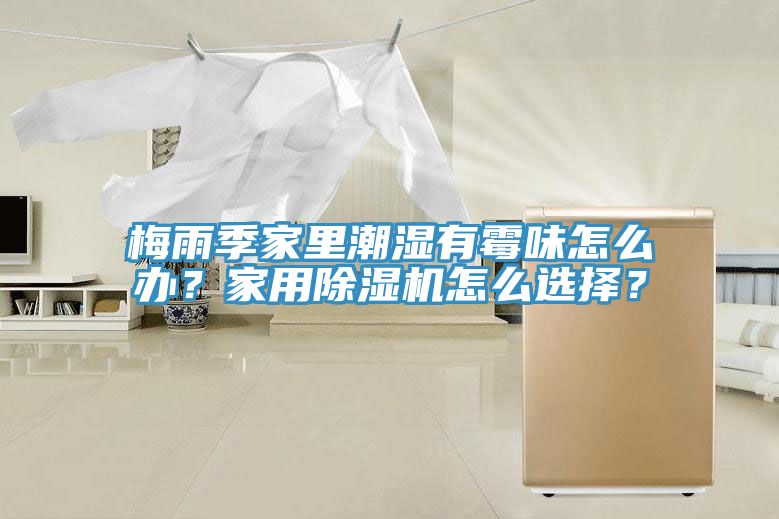 梅雨季家里潮濕有霉味怎么辦？家用除濕機(jī)怎么選擇？