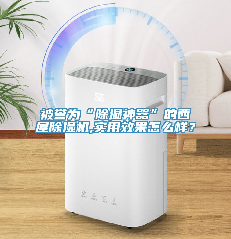 被譽為“除濕神器”的西屋除濕機(jī),實用效果怎么樣？