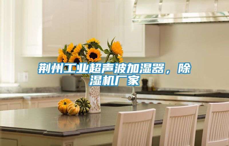 荊州工業(yè)超聲波加濕器，除濕機廠家