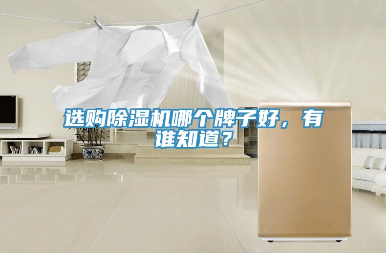 選購除濕機哪個牌子好，有誰知道？