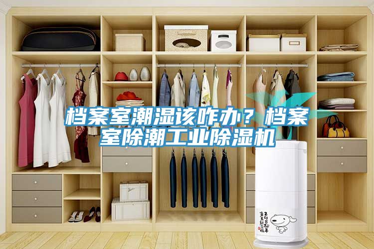 檔案室潮濕該咋辦？檔案室除潮工業(yè)除濕機