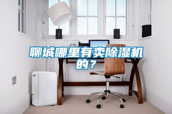 聊城哪里有賣除濕機的？