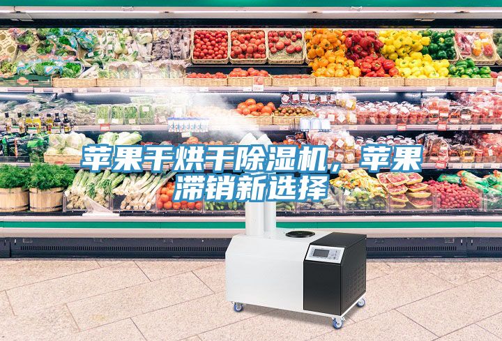 蘋果干烘干除濕機(jī)，蘋果滯銷新選擇