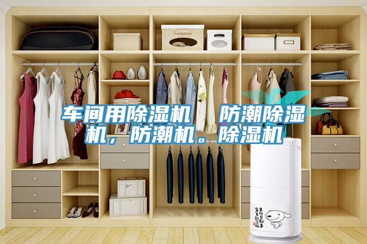 車間用除濕機(jī)  防潮除濕機(jī)，防潮機(jī)。除濕機(jī)