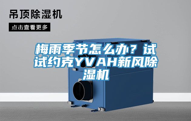 梅雨季節(jié)怎么辦？試試約克YVAH新風(fēng)除濕機(jī)