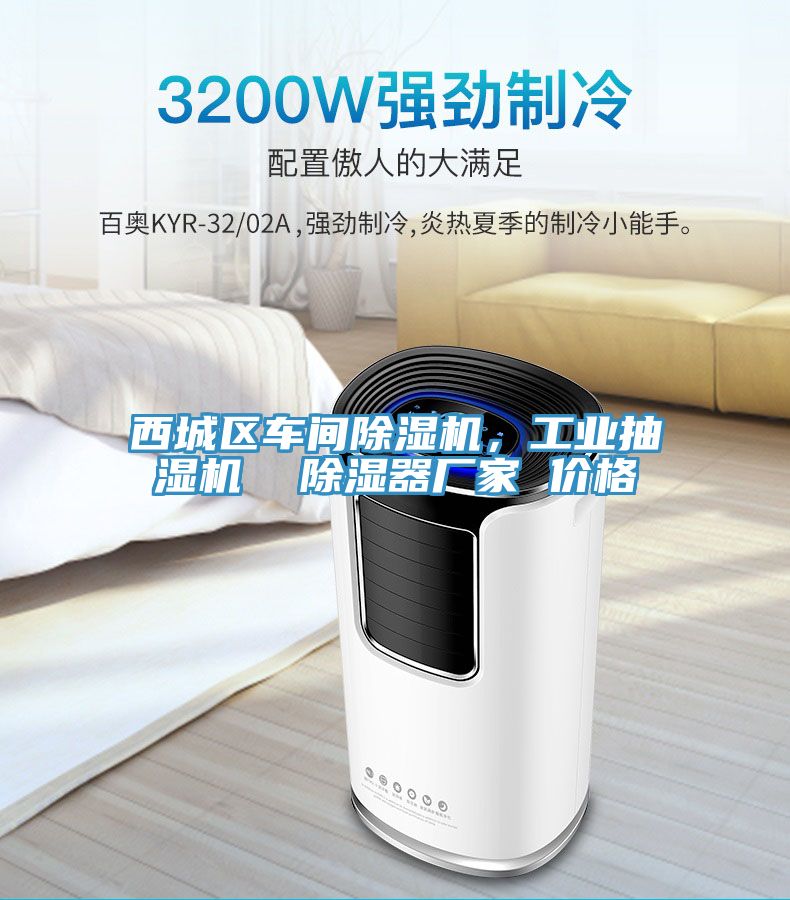 西城區(qū)車間除濕機(jī)，工業(yè)抽濕機(jī)  除濕器廠家 價格