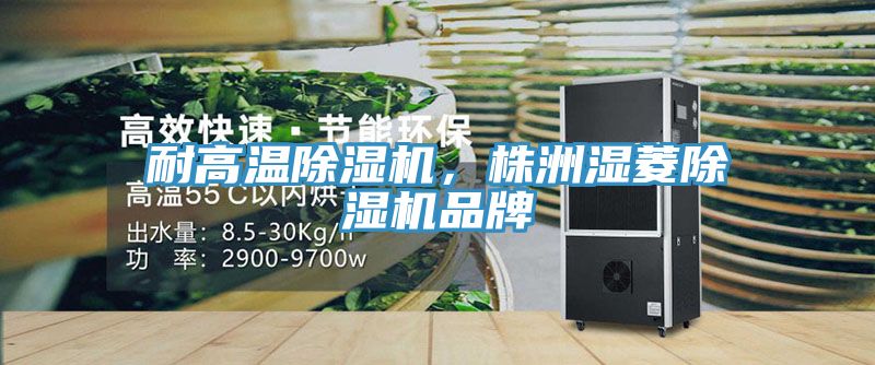 耐高溫除濕機(jī)，株洲濕菱除濕機(jī)品牌