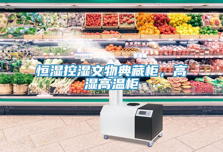 恒濕控濕文物典藏柜，高濕高溫柜