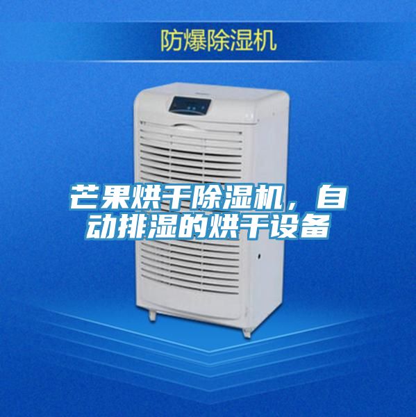 芒果烘干除濕機，自動排濕的烘干設(shè)備