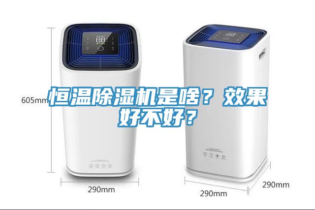 恒溫除濕機是啥？效果好不好？
